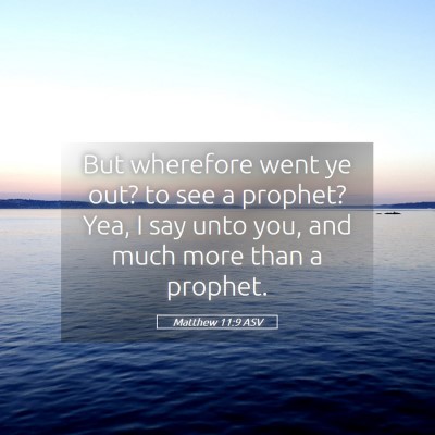 Picture 05 - Matthew 11:9 ASV - But wherefore went ye out? to see a prophet? Yea, - Bible Verse Picture
