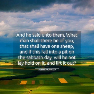 Picture 05 - Matthew 12:11 ASV - And he said unto them, What man shall there be of - Bible Verse Picture