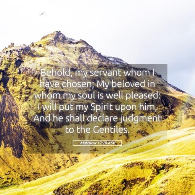 Picture 05 - Matthew 12:18 ASV - Behold, my servant whom I have chosen; My beloved - Bible Verse Picture