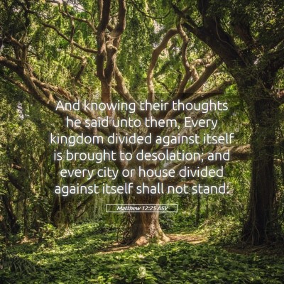 Picture 05 - Matthew 12:25 ASV - And knowing their thoughts he said unto them, - Bible Verse Picture