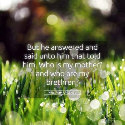 Picture 05 - Matthew 12:48 ASV - But he answered and said unto him that told him, - Bible Verse Picture