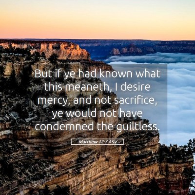 Picture 05 - Matthew 12:7 ASV - But if ye had known what this meaneth, I desire - Bible Verse Picture