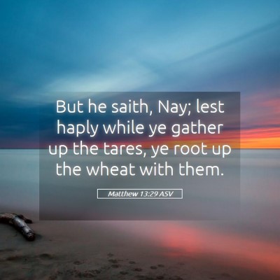 Picture 05 - Matthew 13:29 ASV - But he saith, Nay; lest haply while ye gather up - Bible Verse Picture