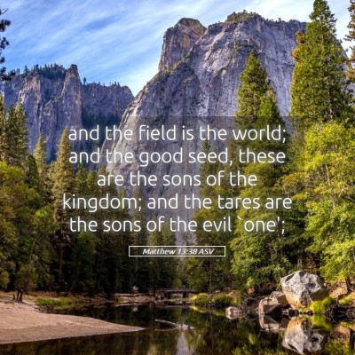 Picture 05 - Matthew 13:38 ASV - and the field is the world; and the good seed, - Bible Verse Picture
