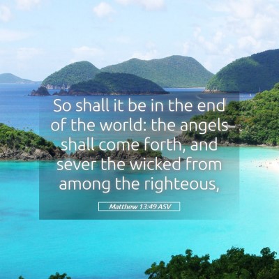 Picture 05 - Matthew 13:49 ASV - So shall it be in the end of the world: the - Bible Verse Picture