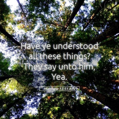 Picture 05 - Matthew 13:51 ASV - Have ye understood all these things? They say - Bible Verse Picture