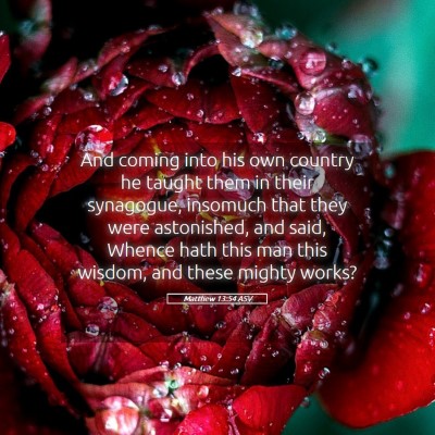 Picture 05 - Matthew 13:54 ASV - And coming into his own country he taught them in - Bible Verse Picture