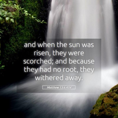 Picture 05 - Matthew 13:6 ASV - and when the sun was risen, they were scorched; - Bible Verse Picture