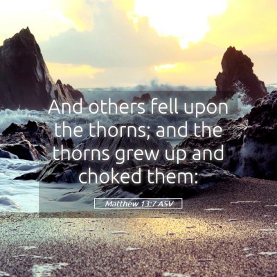 Picture 05 - Matthew 13:7 ASV - And others fell upon the thorns; and the thorns - Bible Verse Picture