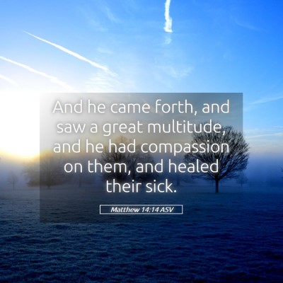 Picture 05 - Matthew 14:14 ASV - And he came forth, and saw a great multitude, and - Bible Verse Picture
