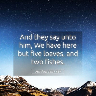 Picture 05 - Matthew 14:17 ASV - And they say unto him, We have here but five - Bible Verse Picture