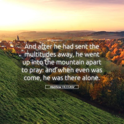 Picture 05 - Matthew 14:23 ASV - And after he had sent the multitudes away, he - Bible Verse Picture
