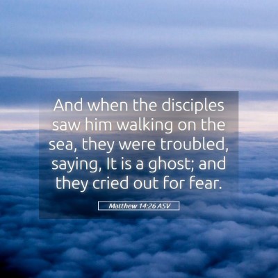 Picture 05 - Matthew 14:26 ASV - And when the disciples saw him walking on the - Bible Verse Picture