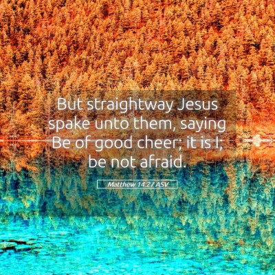 Picture 05 - Matthew 14:27 ASV - But straightway Jesus spake unto them, saying Be - Bible Verse Picture