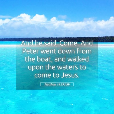 Picture 05 - Matthew 14:29 ASV - And he said, Come. And Peter went down from the - Bible Verse Picture