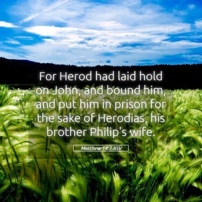 Picture 05 - Matthew 14:3 ASV - For Herod had laid hold on John, and bound him, - Bible Verse Picture