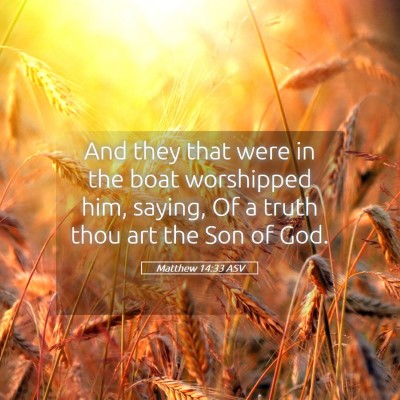 Picture 05 - Matthew 14:33 ASV - And they that were in the boat worshipped him, - Bible Verse Picture