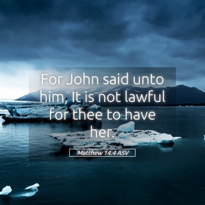 Picture 05 - Matthew 14:4 ASV - For John said unto him, It is not lawful for thee - Bible Verse Picture