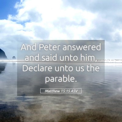 Picture 05 - Matthew 15:15 ASV - And Peter answered and said unto him, Declare - Bible Verse Picture