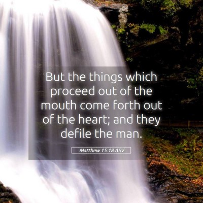 Picture 05 - Matthew 15:18 ASV - But the things which proceed out of the mouth - Bible Verse Picture