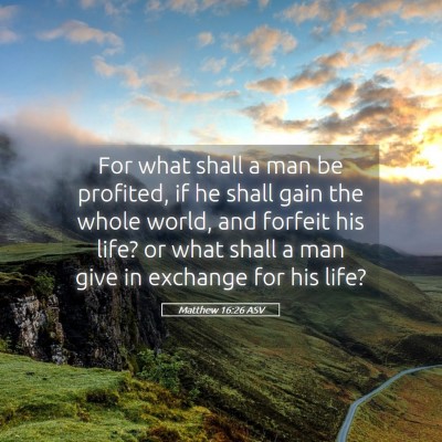 Picture 05 - Matthew 16:26 ASV - For what shall a man be profited, if he shall - Bible Verse Picture