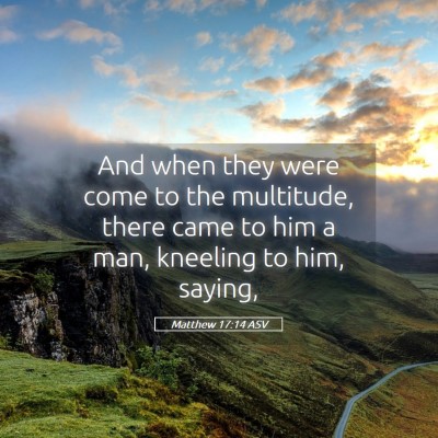 Picture 05 - Matthew 17:14 ASV - And when they were come to the multitude, there - Bible Verse Picture
