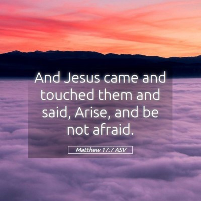 Picture 05 - Matthew 17:7 ASV - And Jesus came and touched them and said, Arise, - Bible Verse Picture