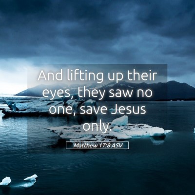Picture 05 - Matthew 17:8 ASV - And lifting up their eyes, they saw no one, save - Bible Verse Picture
