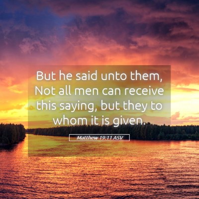 Picture 05 - Matthew 19:11 ASV - But he said unto them, Not all men can receive - Bible Verse Picture