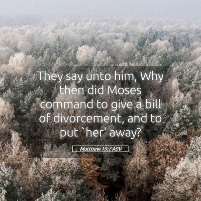 Picture 05 - Matthew 19:7 ASV - They say unto him, Why then did Moses command to - Bible Verse Picture
