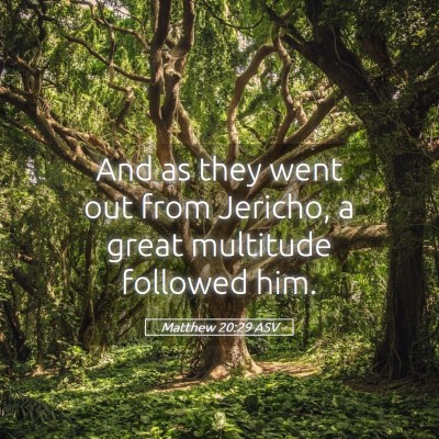 Picture 05 - Matthew 20:29 ASV - And as they went out from Jericho, a great - Bible Verse Picture
