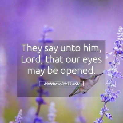 Picture 05 - Matthew 20:33 ASV - They say unto him, Lord, that our eyes may be - Bible Verse Picture