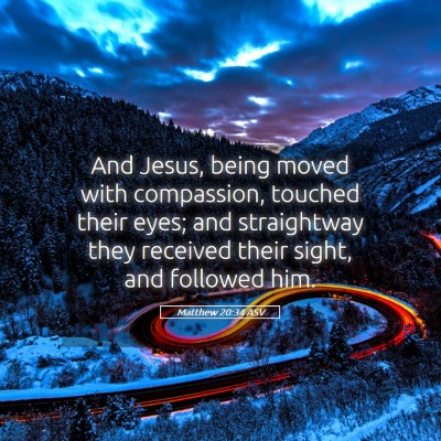 Picture 05 - Matthew 20:34 ASV - And Jesus, being moved with compassion, touched - Bible Verse Picture