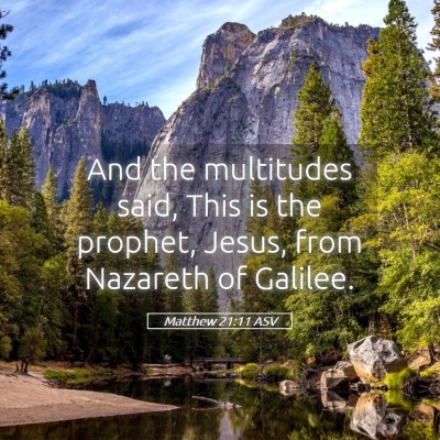 Picture 05 - Matthew 21:11 ASV - And the multitudes said, This is the prophet, - Bible Verse Picture