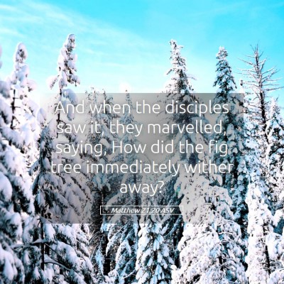 Picture 05 - Matthew 21:20 ASV - And when the disciples saw it, they marvelled, - Bible Verse Picture