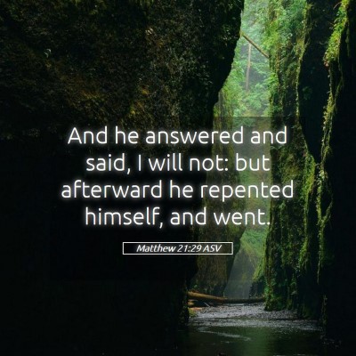 Picture 05 - Matthew 21:29 ASV - And he answered and said, I will not: but - Bible Verse Picture