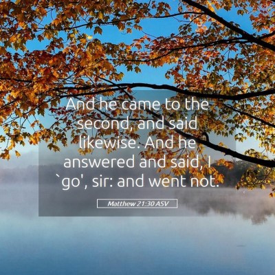 Picture 05 - Matthew 21:30 ASV - And he came to the second, and said likewise. And - Bible Verse Picture