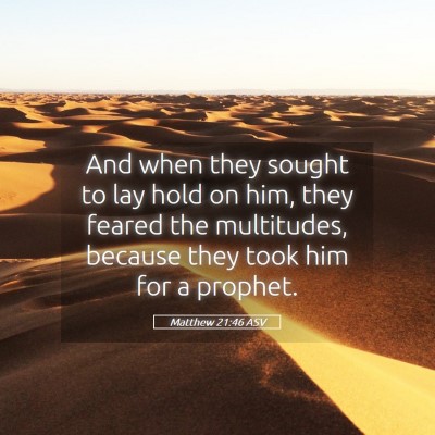 Picture 05 - Matthew 21:46 ASV - And when they sought to lay hold on him, they - Bible Verse Picture