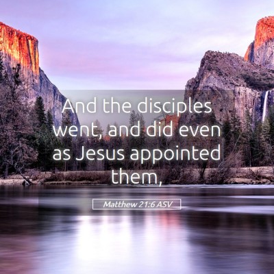 Picture 05 - Matthew 21:6 ASV - And the disciples went, and did even as Jesus - Bible Verse Picture