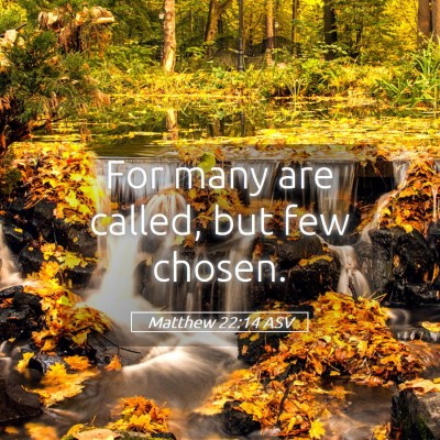 Picture 05 - Matthew 22:14 ASV - For many are called, but few - Bible Verse Picture