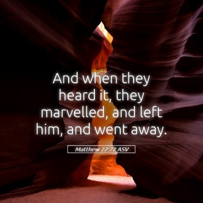 Picture 05 - Matthew 22:22 ASV - And when they heard it, they marvelled, and left - Bible Verse Picture