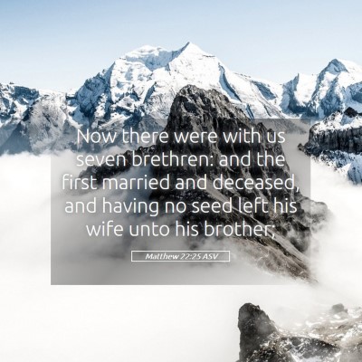 Picture 05 - Matthew 22:25 ASV - Now there were with us seven brethren: and the - Bible Verse Picture