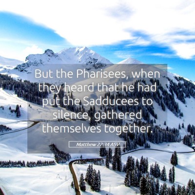Picture 05 - Matthew 22:34 ASV - But the Pharisees, when they heard that he had - Bible Verse Picture