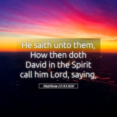 Picture 05 - Matthew 22:43 ASV - He saith unto them, How then doth David in the - Bible Verse Picture