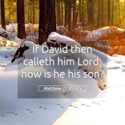 Picture 05 - Matthew 22:45 ASV - If David then calleth him Lord, how is he his - Bible Verse Picture
