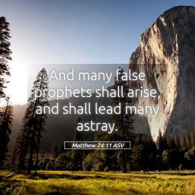 Picture 05 - Matthew 24:11 ASV - And many false prophets shall arise, and shall - Bible Verse Picture