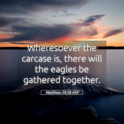 Picture 05 - Matthew 24:28 ASV - Wheresoever the carcase is, there will the eagles - Bible Verse Picture