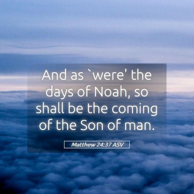 Picture 05 - Matthew 24:37 ASV - And as `were' the days of Noah, so shall be the - Bible Verse Picture