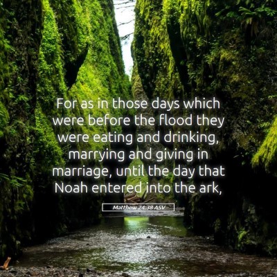 Picture 05 - Matthew 24:38 ASV - For as in those days which were before the flood - Bible Verse Picture