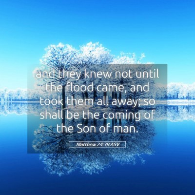 Picture 05 - Matthew 24:39 ASV - and they knew not until the flood came, and took - Bible Verse Picture